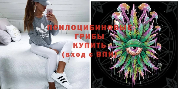 индика Верхнеуральск