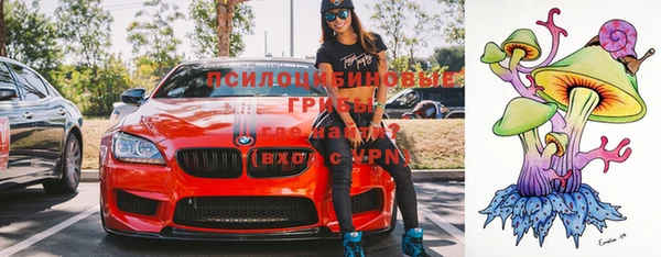 индика Верхнеуральск