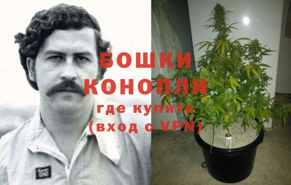 спайс Верея