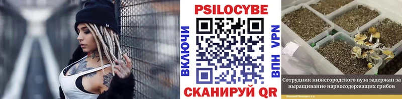 где купить Мариинск Псилоцибиновые грибы Psilocybine cubensis